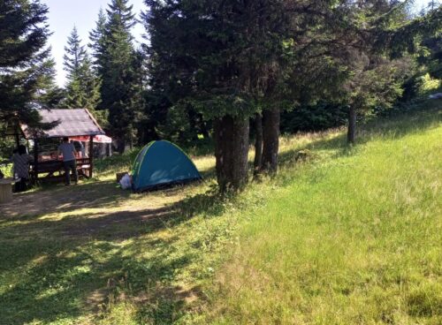 Piknik ve Kamp Alanı